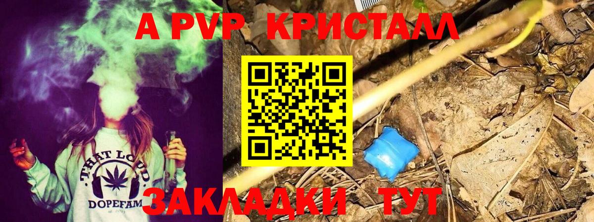 Alfa_PVP СК Светлоград