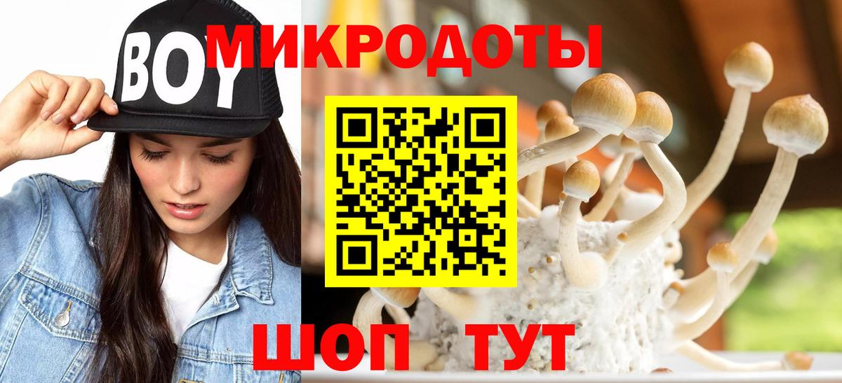 Светлоград  Псилоцибиновые грибы Magic Shrooms  Вход с VPN  купить  сайты  Галлюциногенные грибы GOLDEN TEACHER 